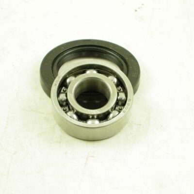 Bearing 11161