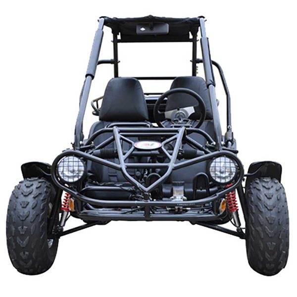 TrailMaster 200 XRS GoKart