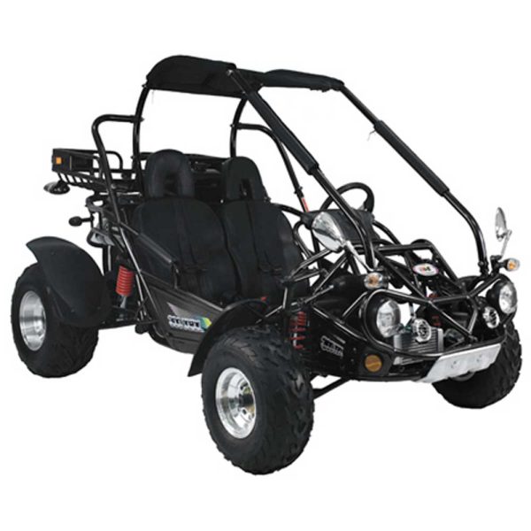 TrailMaster 300 XRX-E GoKart