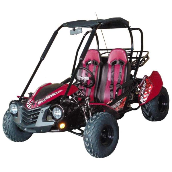 TrailMaster Blazer 200 Full-Size Adult GoKart