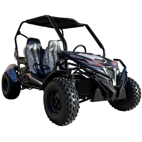 TrailMaster Cheetah 300E Full-Size Adult GoKart