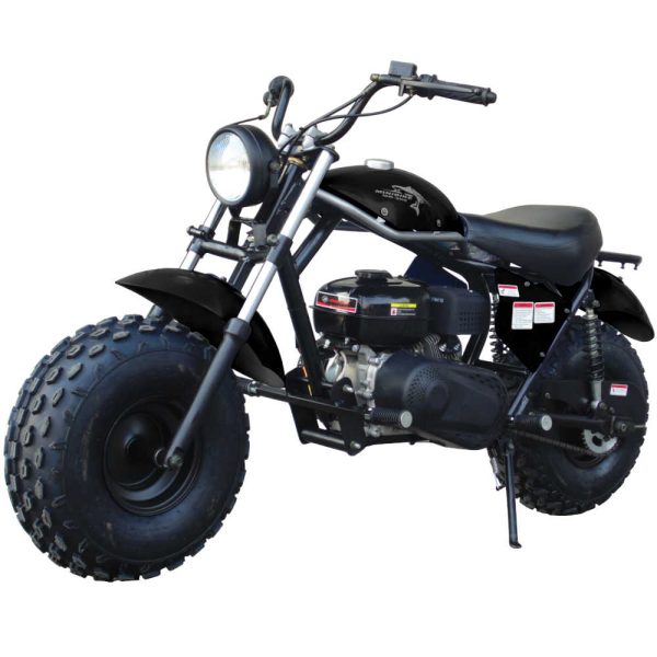 TrailMaster MB200-2 Mini Dirt Bike