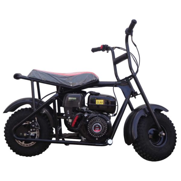 Trailmaster Storm 200 Mini Dirt Bike