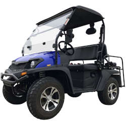 Trailmaster Taurus 200E GV UTV with EFI