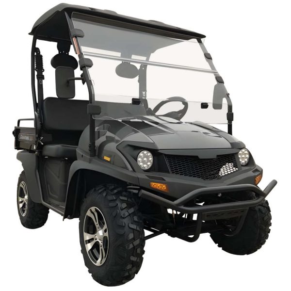 Trailmaster Taurus 200E GV UTV with EFI