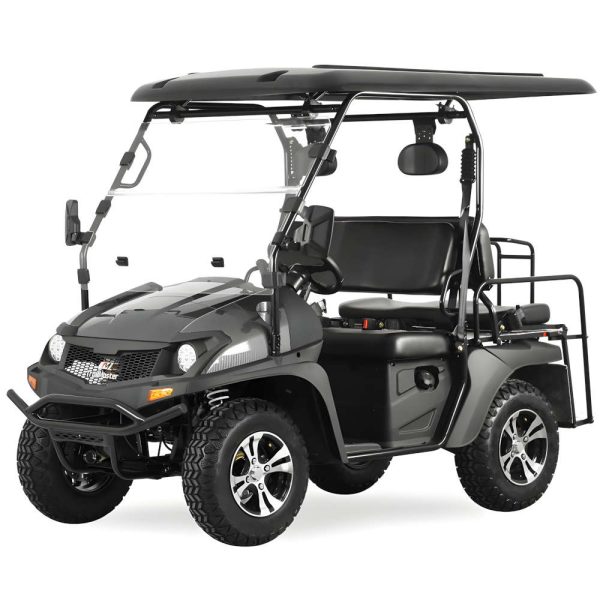 TrailMaster Taurus 200E GX UTV with EFI