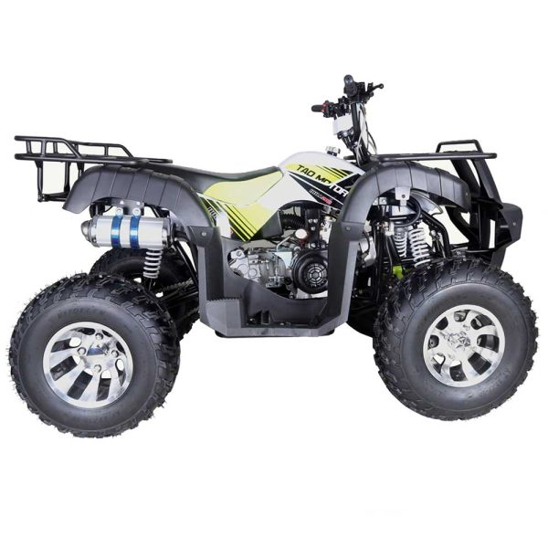 TaoTao Bull 200 Utility ATV