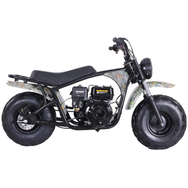 TaoTao DB200 Baja Mini Bike