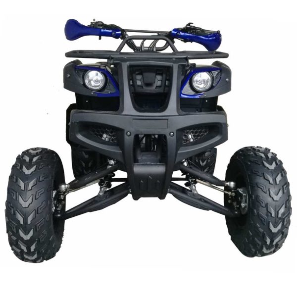 Vitacci Cougar Utility 200 ATV